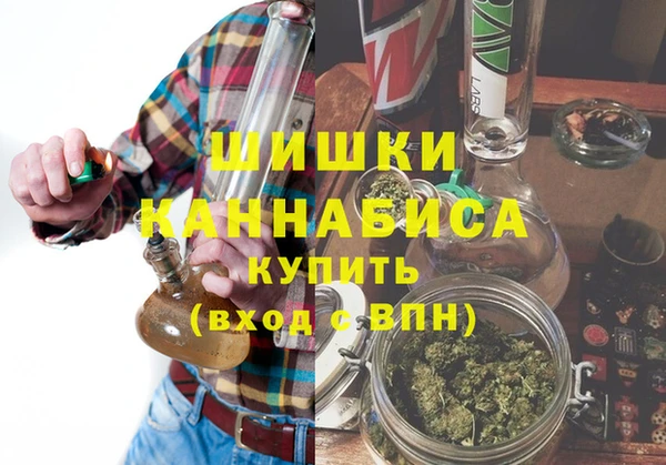 PSILOCYBIN Белокуриха