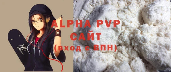 PSILOCYBIN Белокуриха